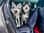 Jack_and_major_