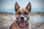 river_staffsky