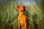 Bandit_thevizsla