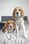 beagleskiko