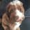 Emma
