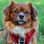 foxy.mausi