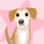 heykirbydog
