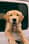 swaythegolden