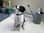 walkwithlaika