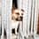Americanbully_boris_belgium