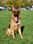Kobethegsd06