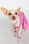 divina_luna_the_chihuahua