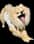 dakotabearthepom