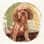 happythepoodle