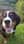 cosmo_the_berner