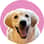 LucytheGoldenRetriever__