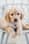 winniethedoo22