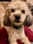 Cooperman022