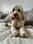 _otisfans