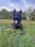 hachi_the_gentle_giant_ugc