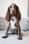 Betsycockerspaniel_