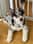 Ben_Hughes488