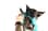 thetworescuepups