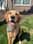 thegolden.murphy