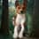 thor.thebasenji