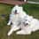 Cloud_charlie_and_thor