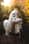 thesamoyedzoe