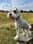 Duggietheschnauzer