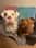 10legsadventures
