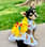 Cinderelly212