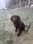 Madmackthesprocker