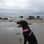nala_the_staffypoo