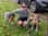 fittertogetheruk