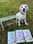 adventureswithmeela