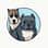 mav_and_pip