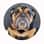 Fiona.englishbully