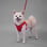 itsbaileythepomchi