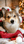piksithecorgiboy