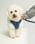 beauthebichon17