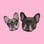 littlefrenchiesisters
