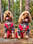 bob-boris-cavapoos