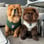 chowchow_winnie_bertie