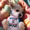 missymoo_chorkie