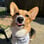 laszlo.the.corgi