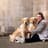Valentine heart (Golden retrievers )