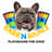 Bark N Bounce