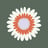 DANDYLION