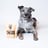 Grand Valley Quail Pet Treats