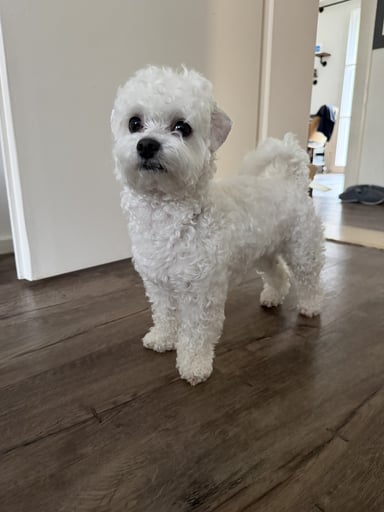 @nk.stylist