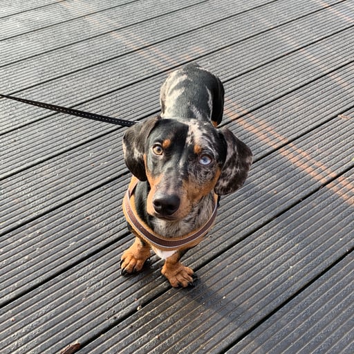 Tilly